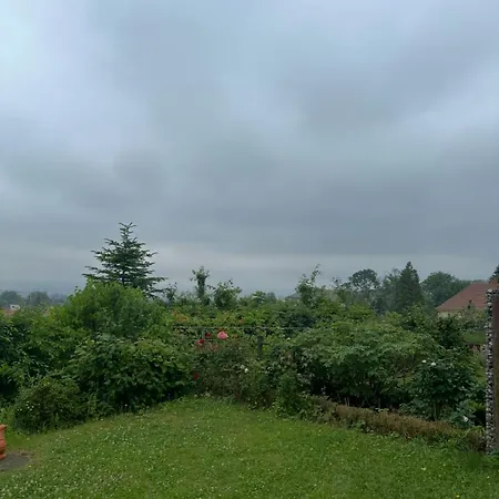 Dresdener Ausblick * Dresden